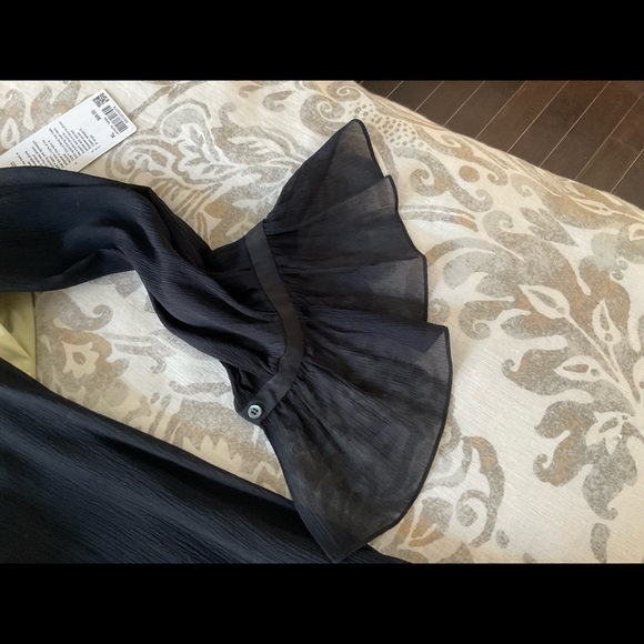 Beautiful Victoria Beckham sheer dress - Picture 5 of 12